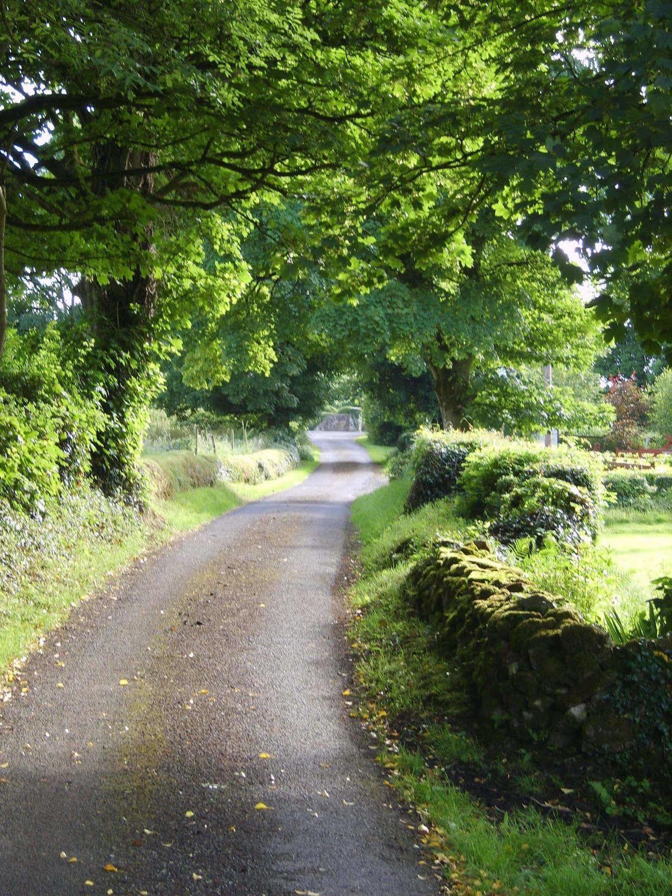 Lake Avenue House Ballyconnell  Exterior foto